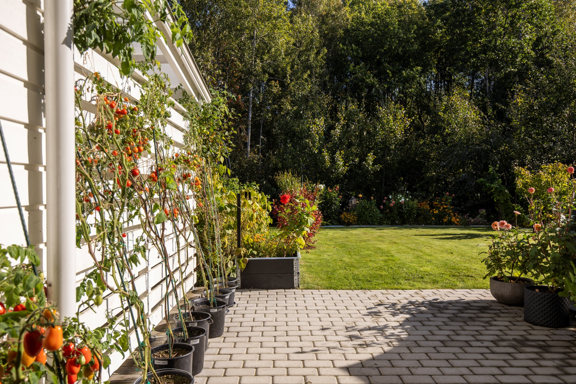 Hemtrevligt och stilfullt boende med fantastik baksida!