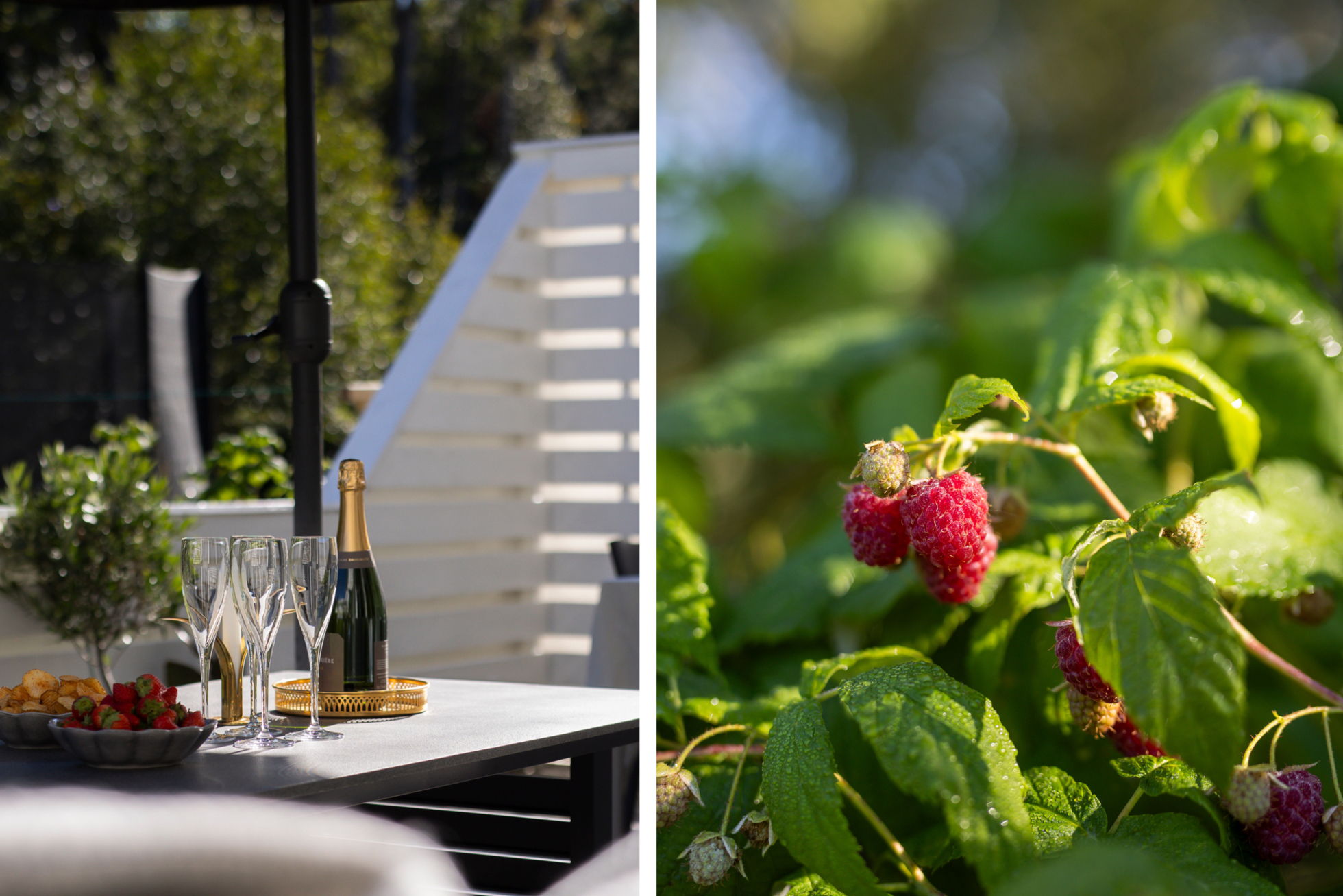 Hemtrevligt och stilfullt boende med fantastik baksida!