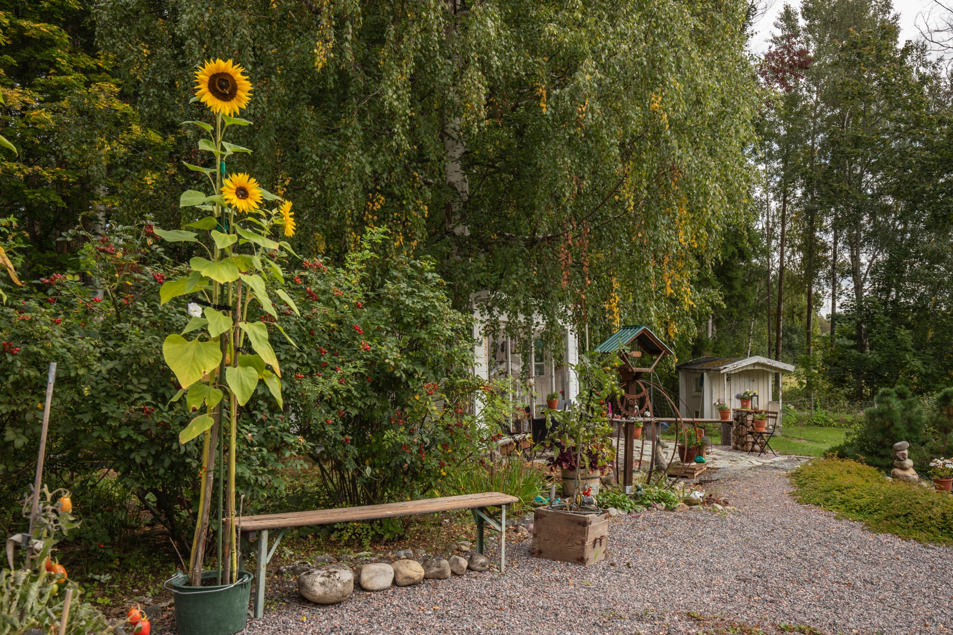 ”Vita villan” med fantastisk trädgård!